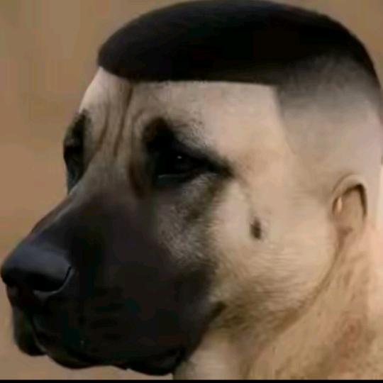 喜欢喝可乐⁹⁹⁹⁹⁹