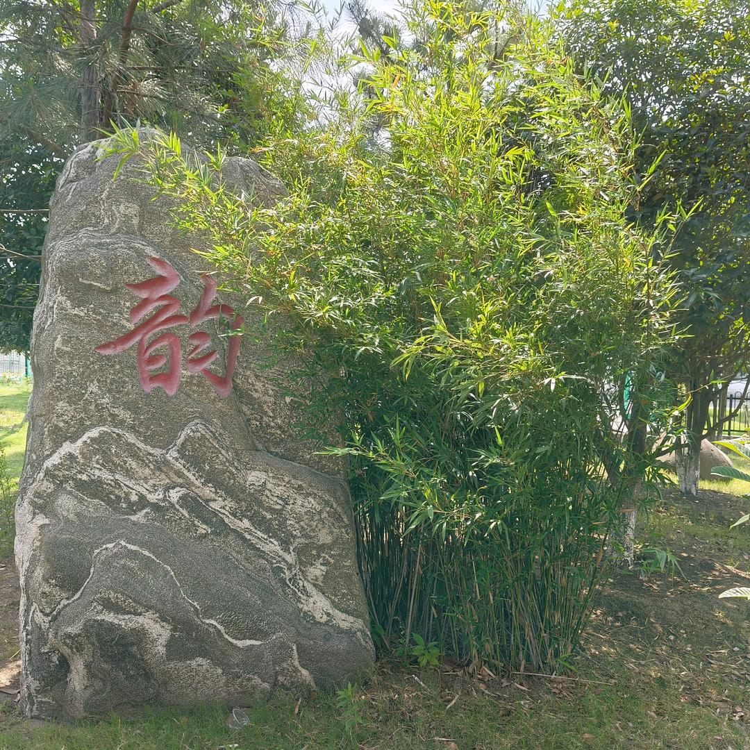 随缘zeng fan shi