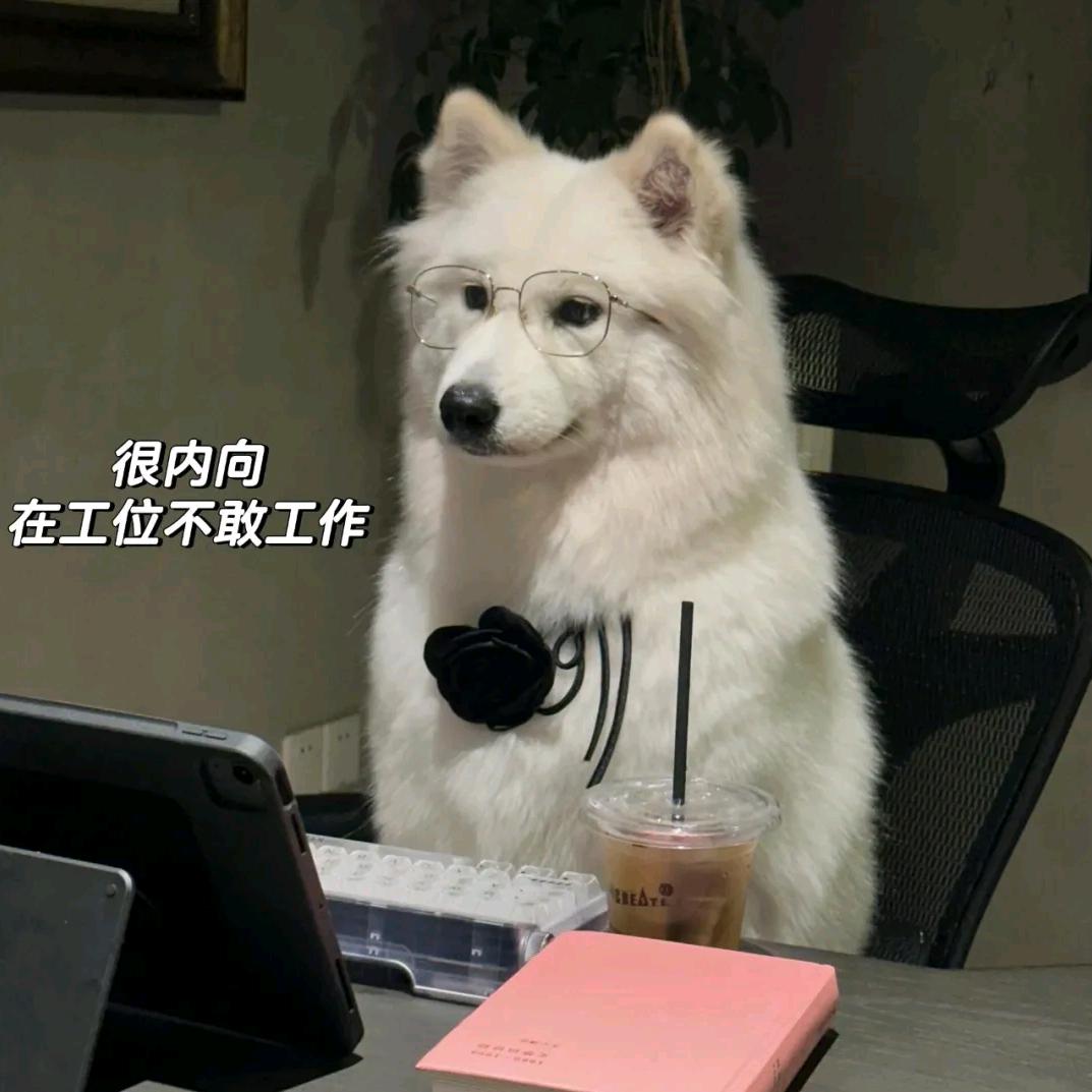 小阿闯