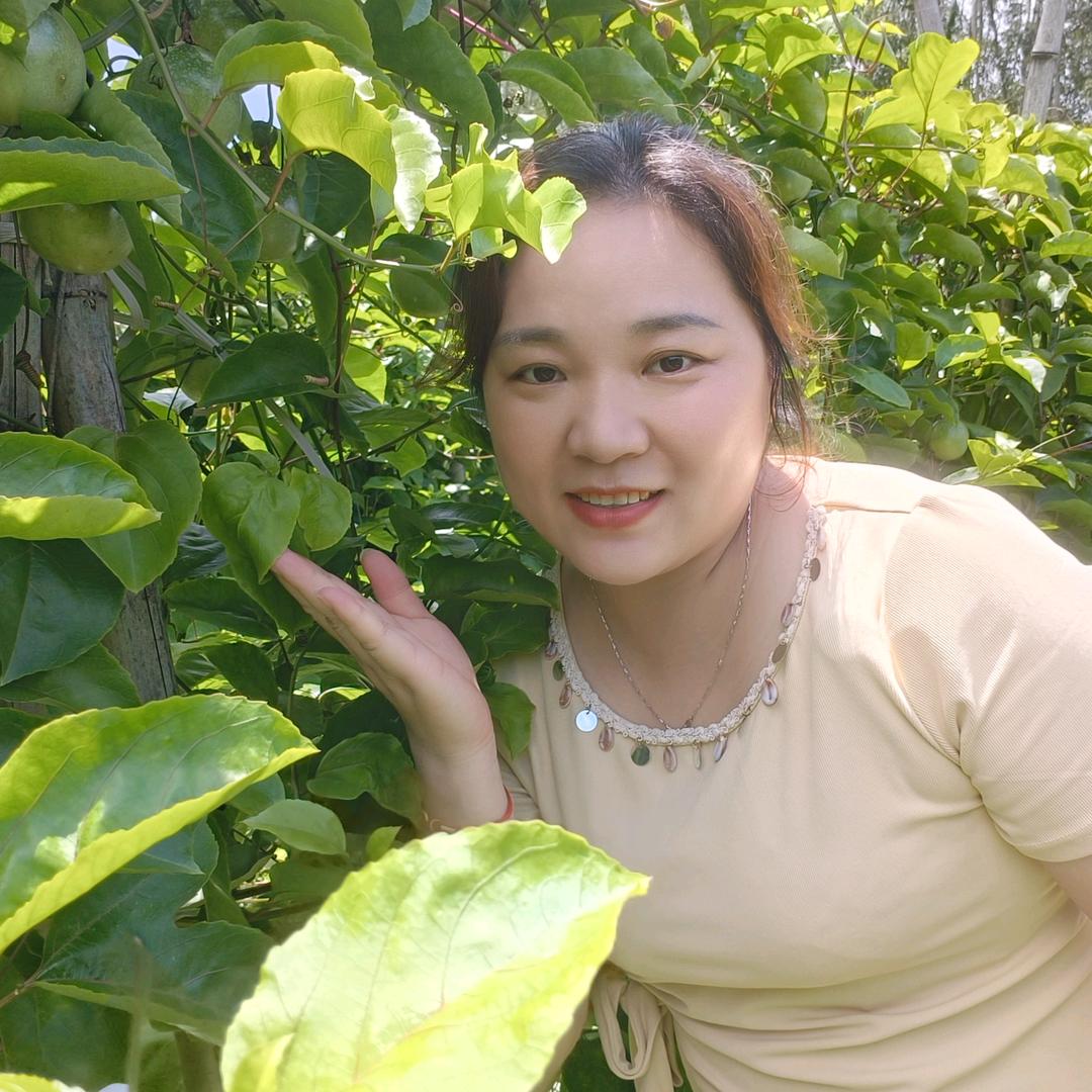 漳浦麦园埔茹茹
