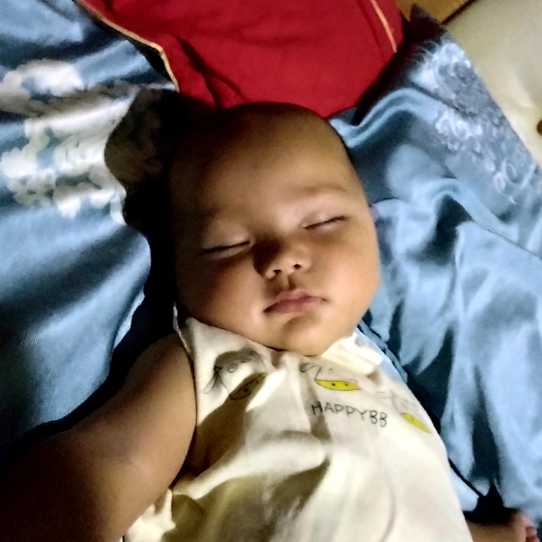 养殖牛羊，土蜂蜜