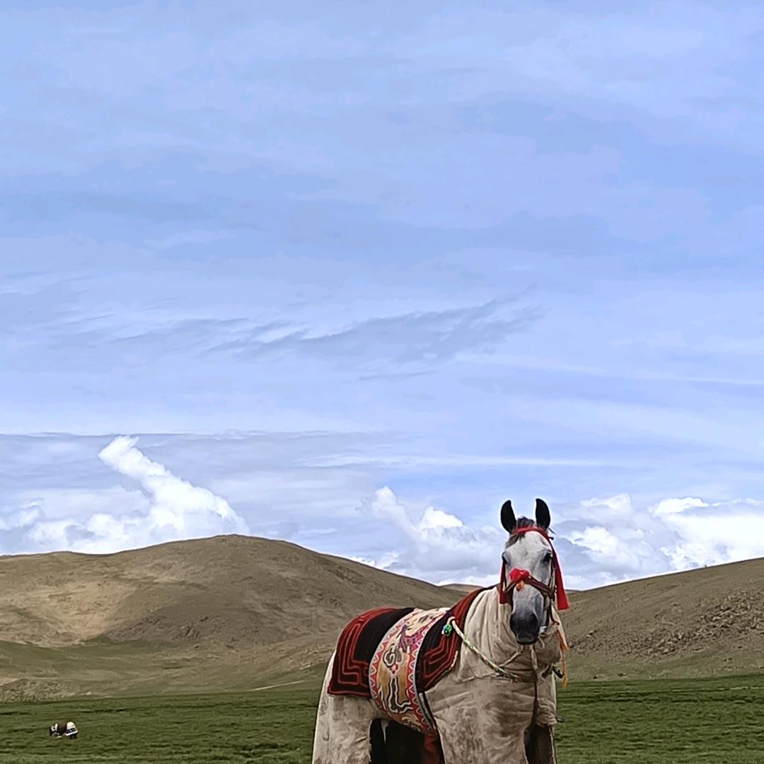 འདམ་秀瓦.🎠