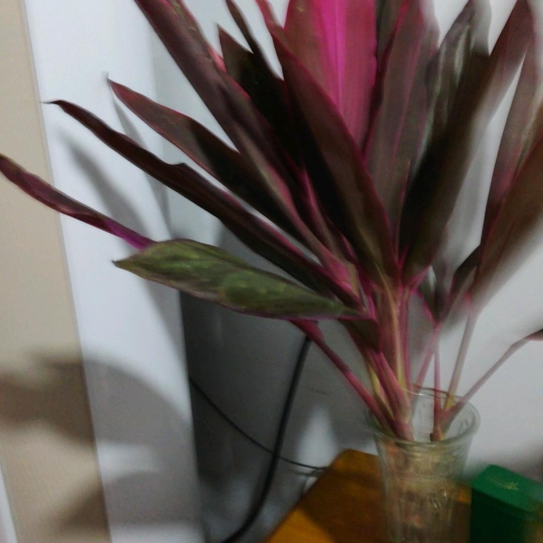 用户42894299周付利