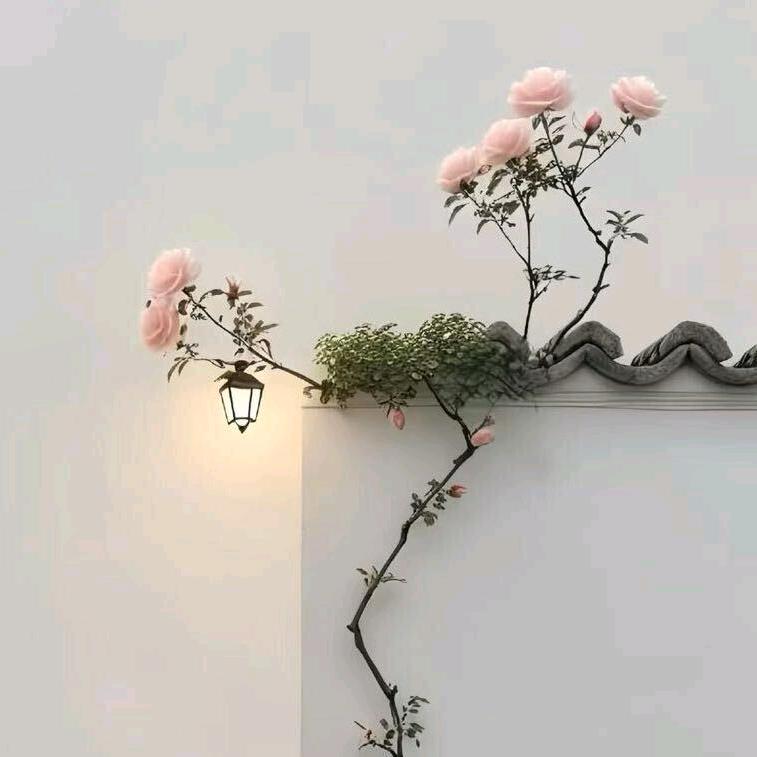 💋ಇ᭄W后余生࿐