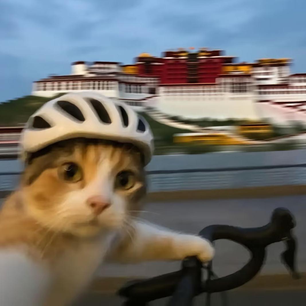炫酷