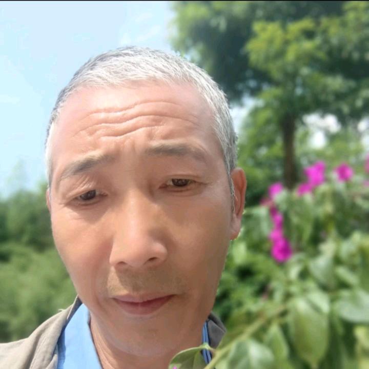 杨立金