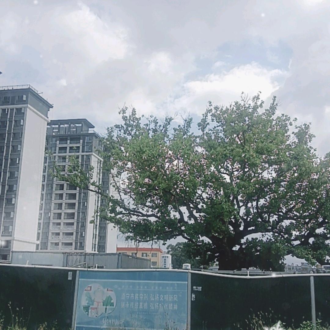 快乐每天