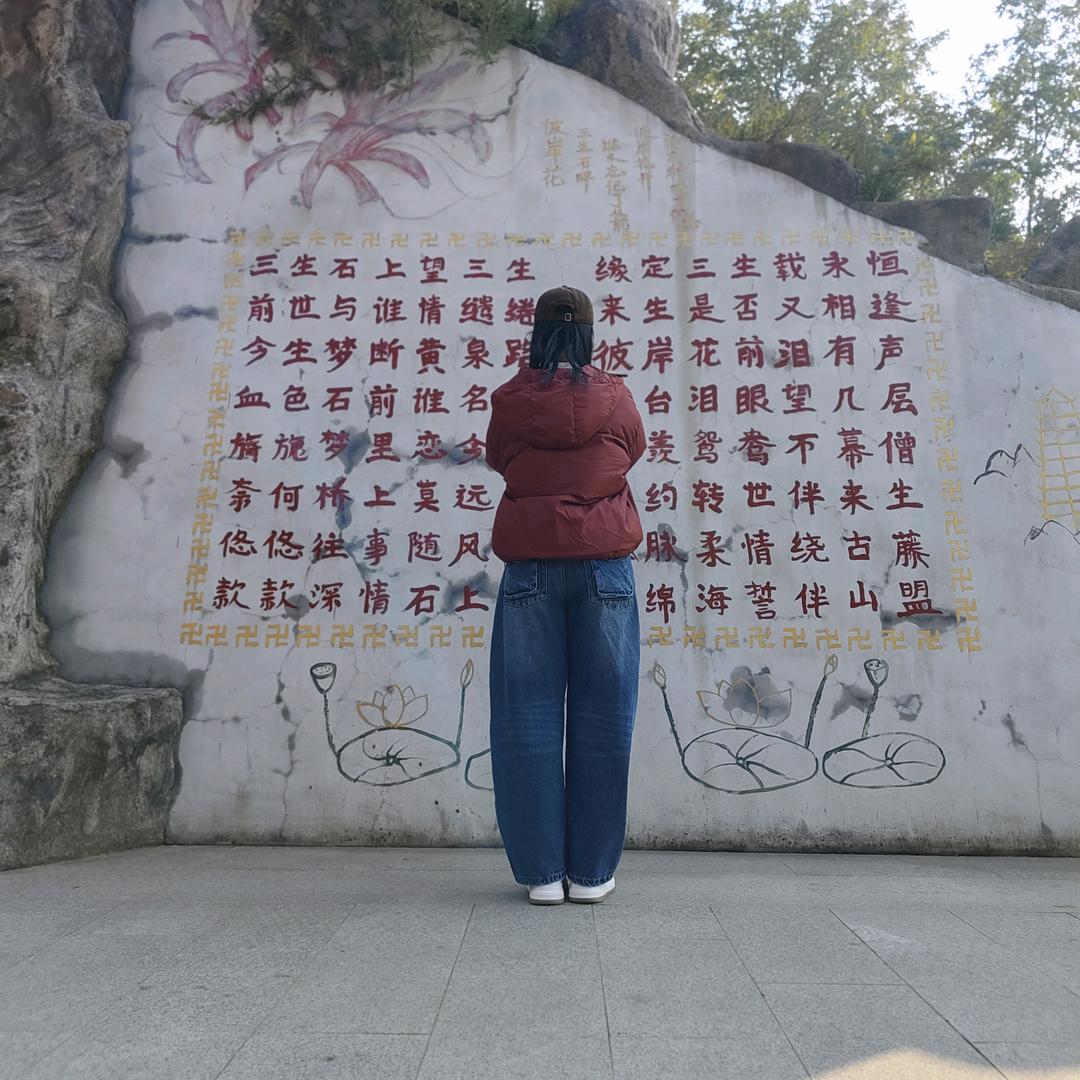 ai张十七朋友圈