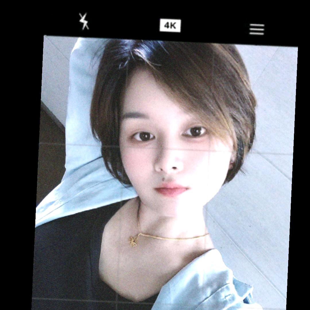 杨圆