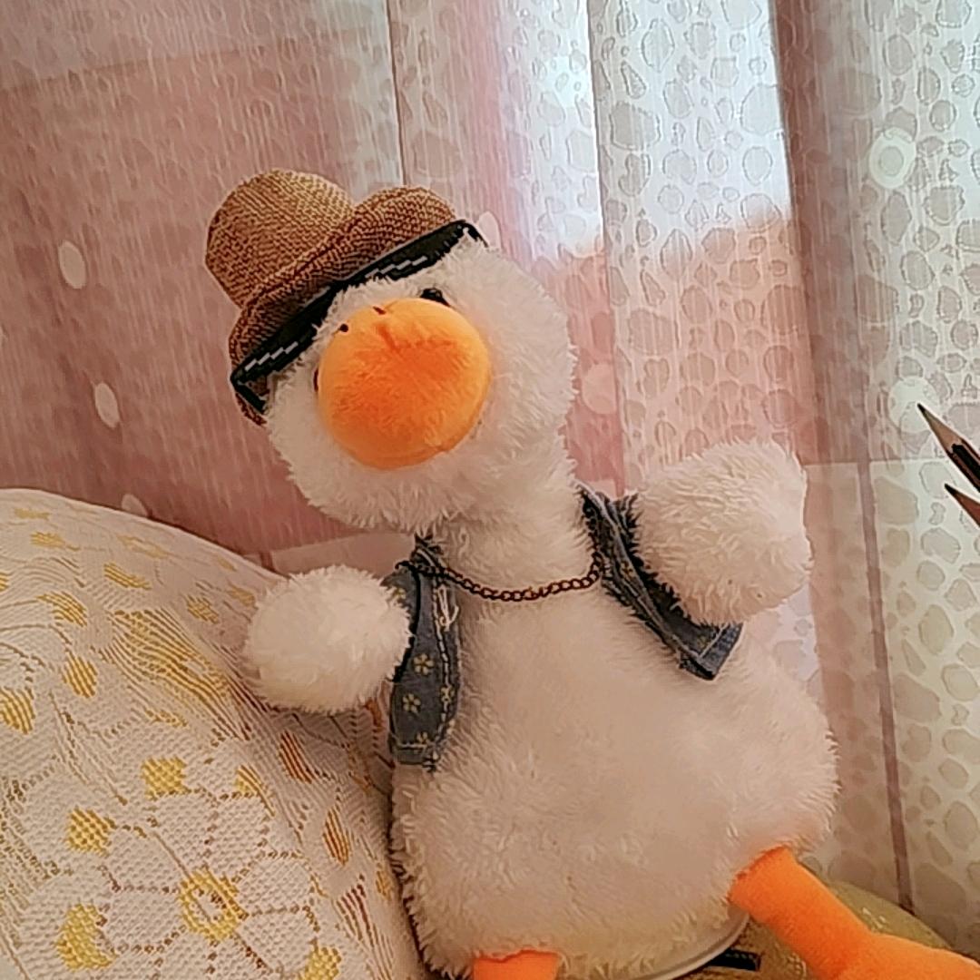 不吃青菜🥬🥬🥬