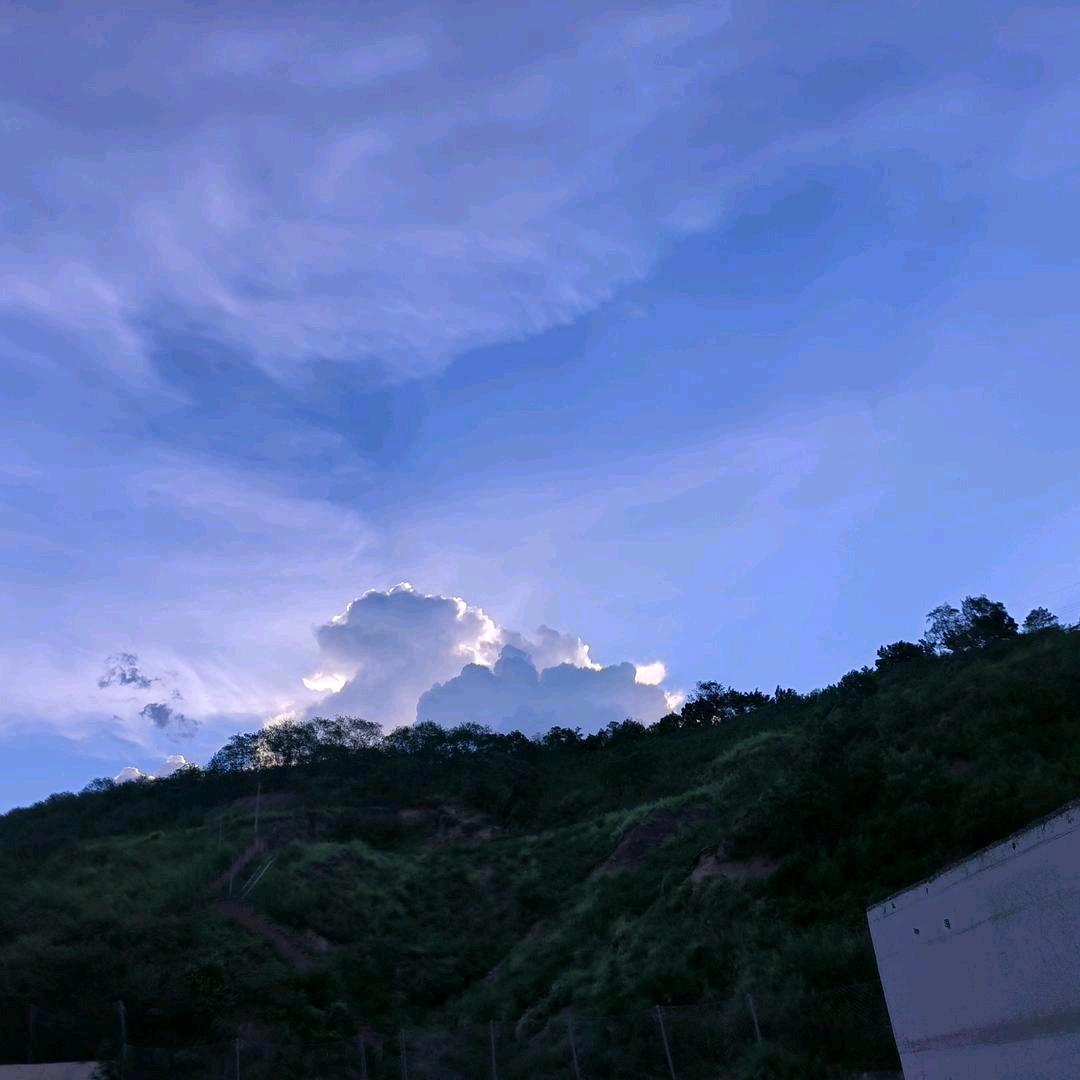 寂庭落花