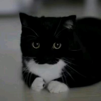 一二三四五（请看简介）