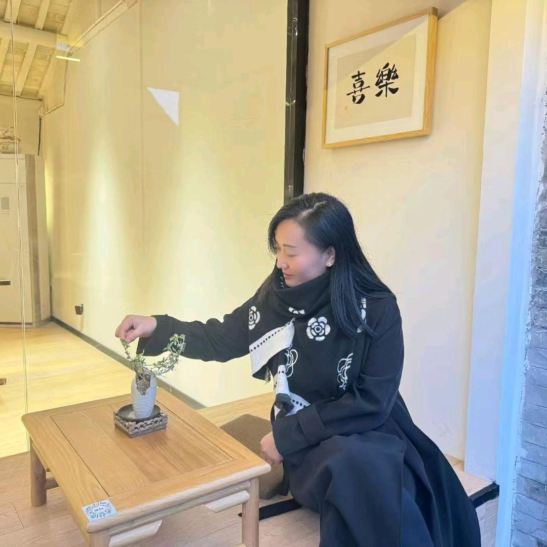 A梦碟（拒绝私聊）