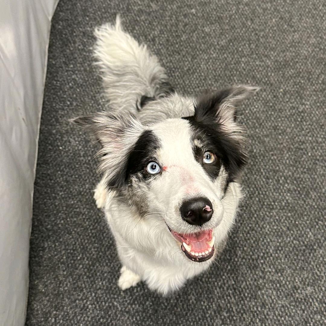 7𝑭𝒙 𝑲𝒂𝒕𝒓𝒊𝒏𝒂