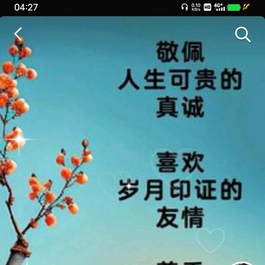 桂青王