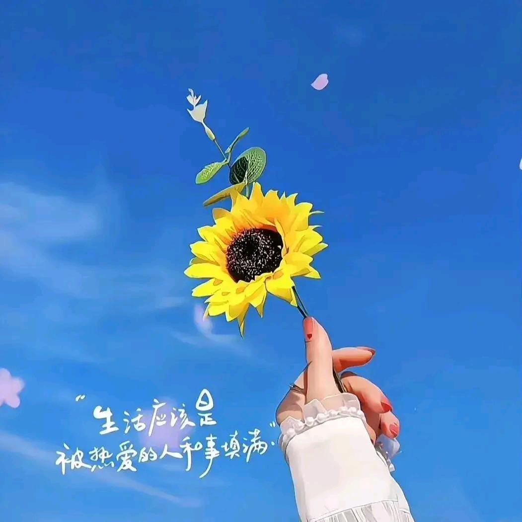 香菜味（长沙融媒））