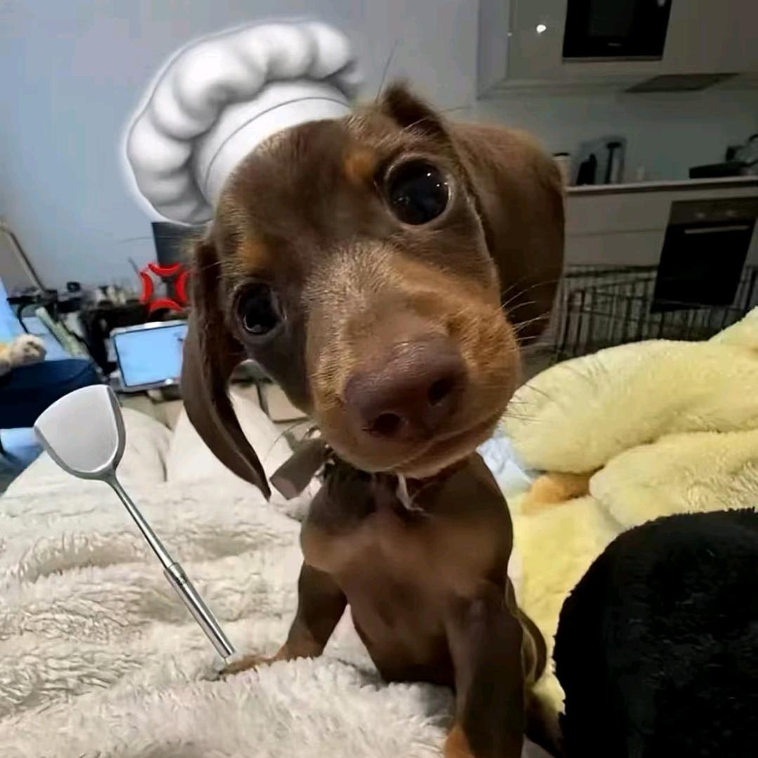 大牙缝