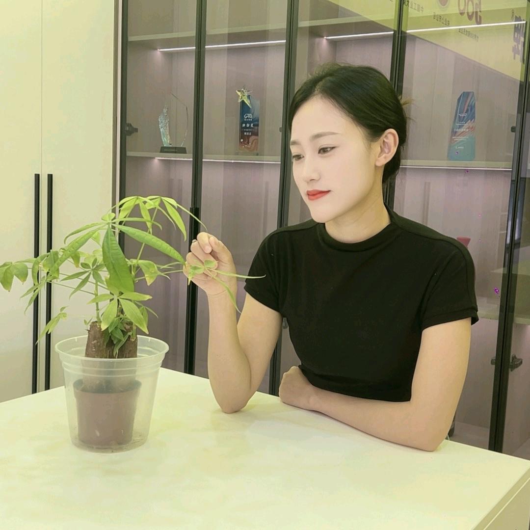 卖建材的小可爱
