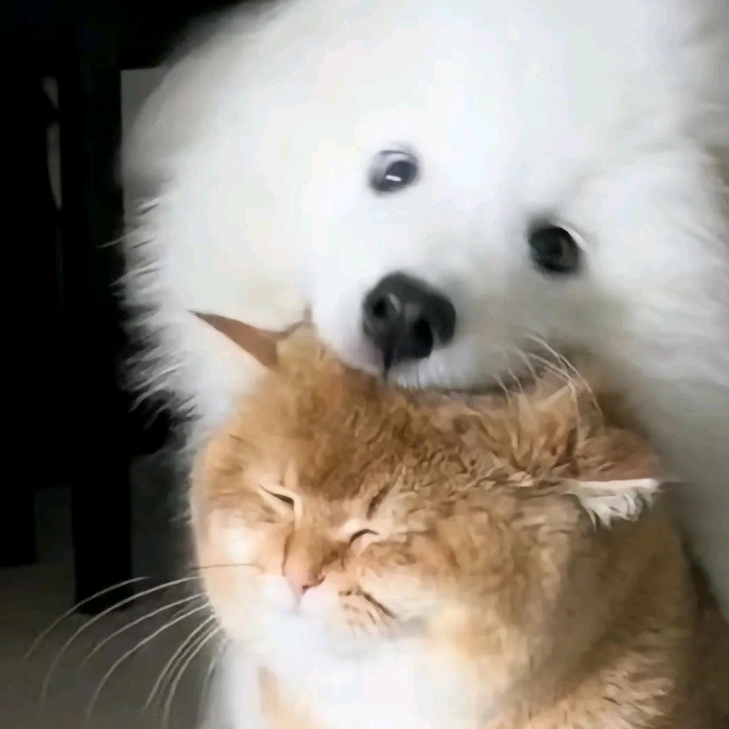 拿卡就行
