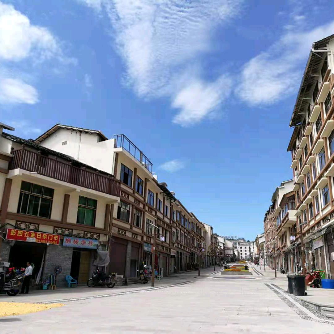 忠诚哥