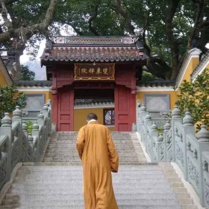 智休（关注-点灯）