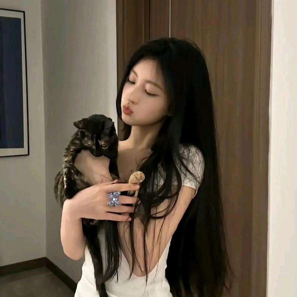 不懂函数૮・ﻌ・ა