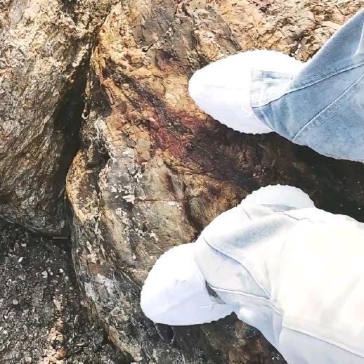 好马不吃回头草