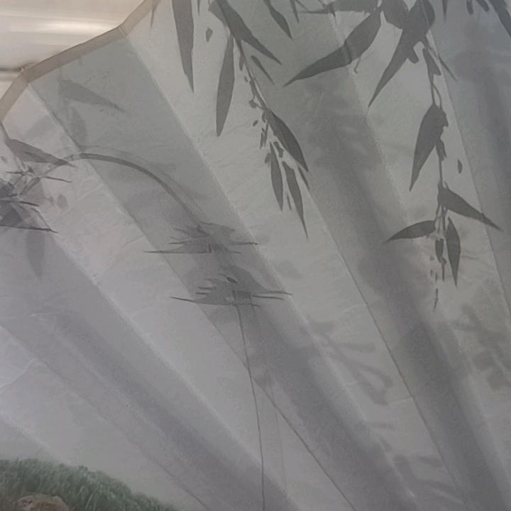 太极八卦一散人