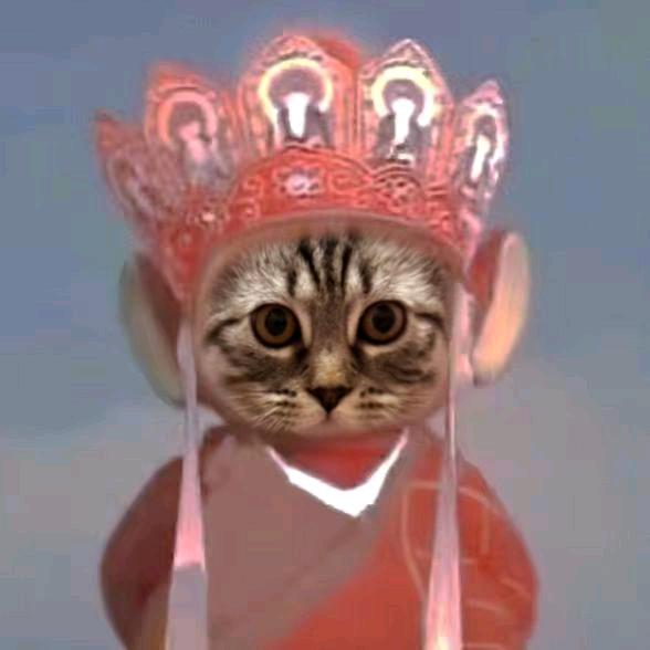 张举举