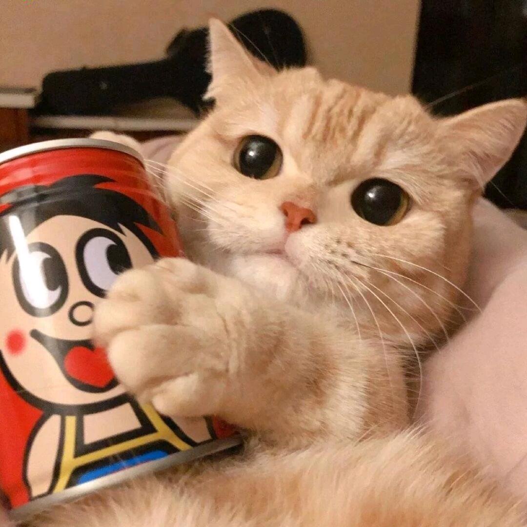 路绍HONG QI🇨🇳