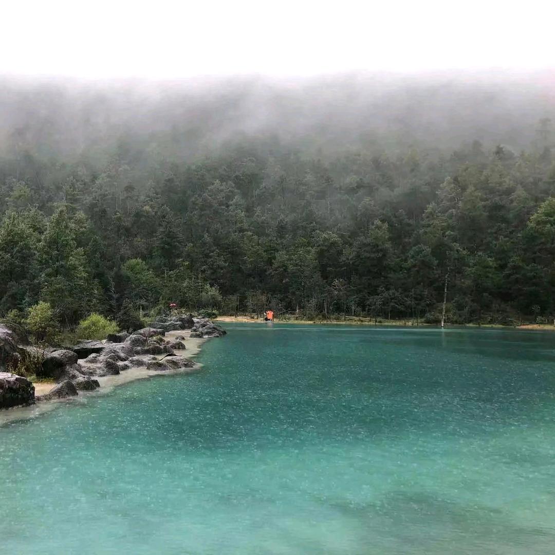 湫殇 別戀