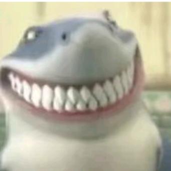 肆心