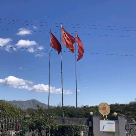 金楚祥雲 高端别墅用瓦