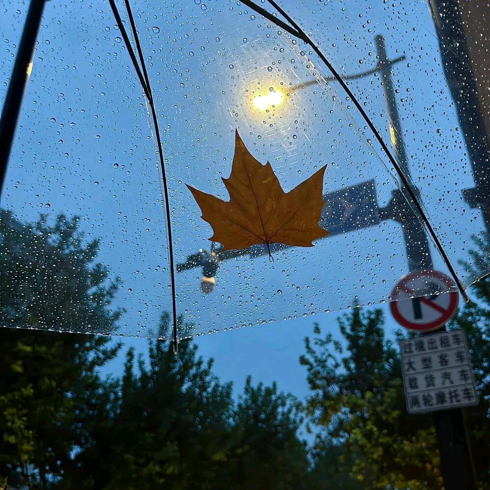 留白