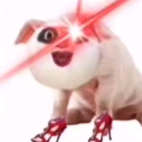 AAA批发必运讨苏哥
