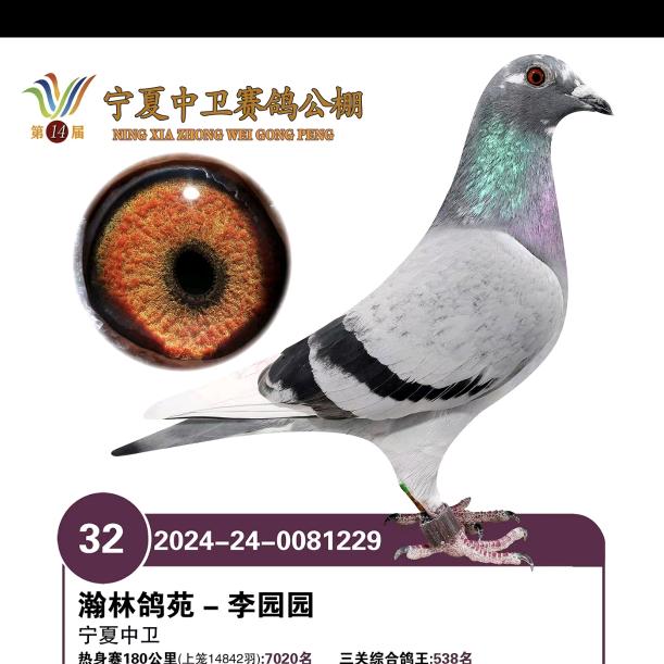 时间辜负青春