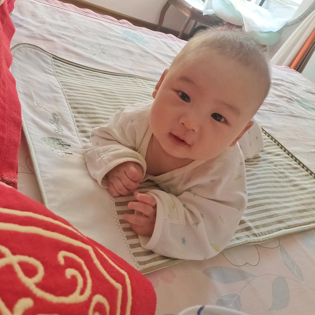 子皓追剧