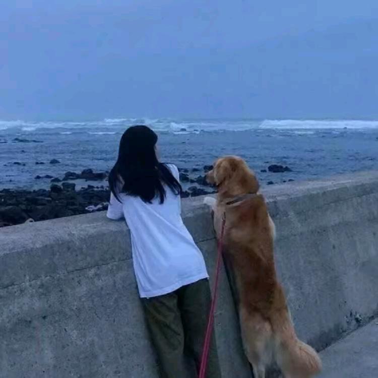 逗音正能量视界