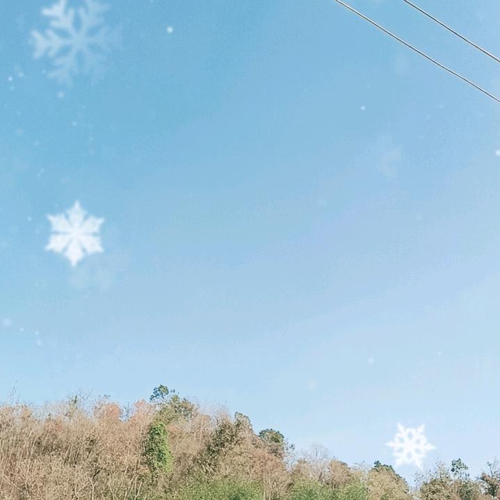 万紫千红