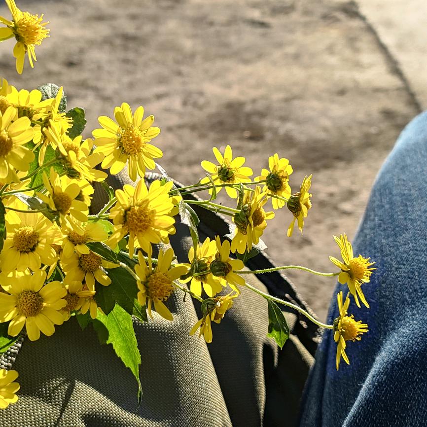 烦恼全都吴小姐