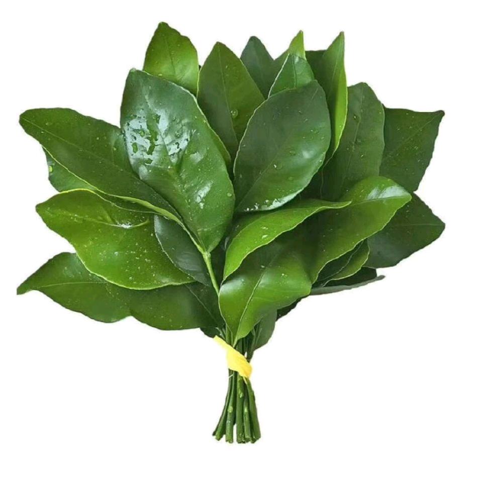 泡泡