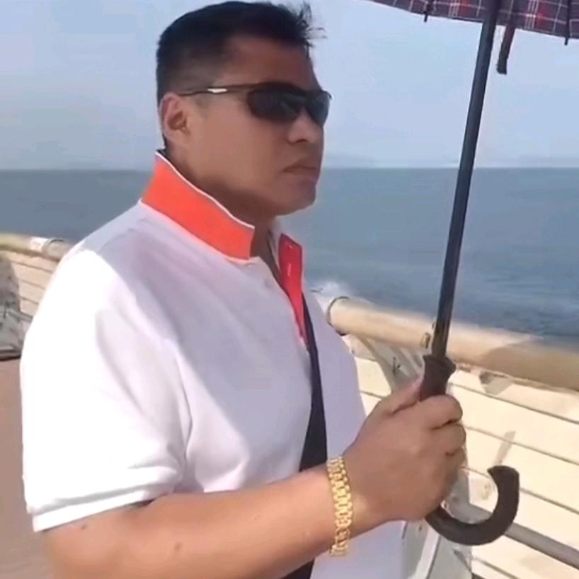 金鞠荟