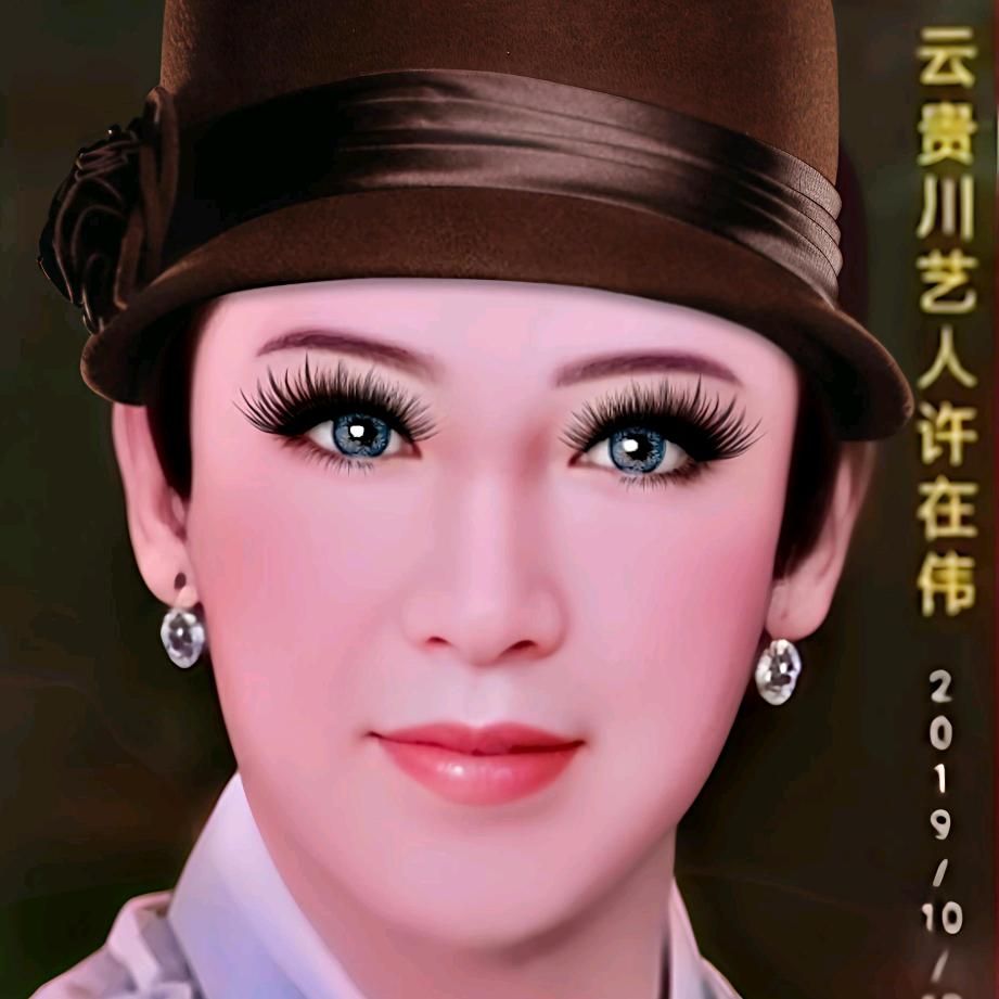 天之骄子云贵川艺人许在炜