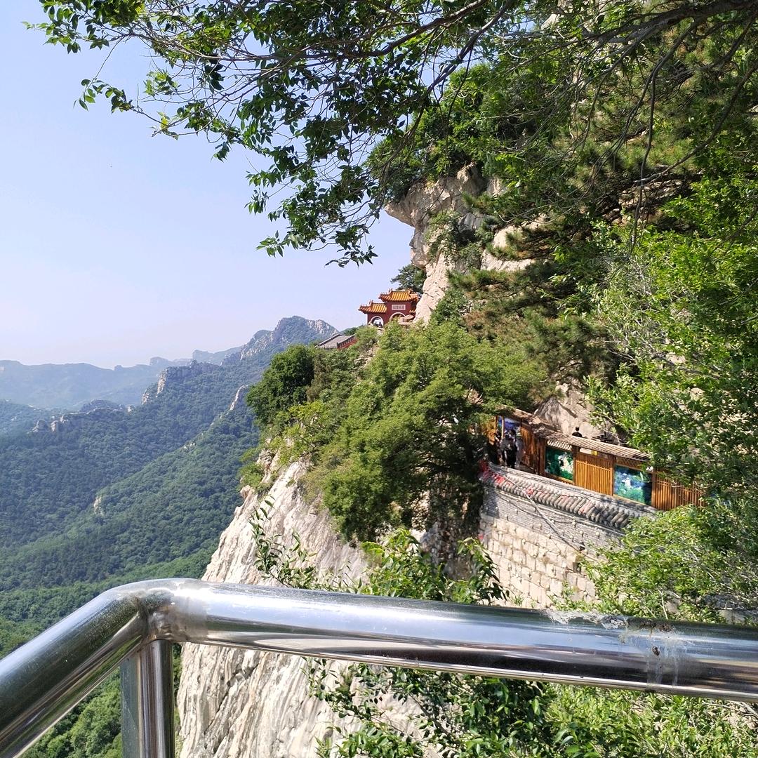 智然（凡尘大家长）