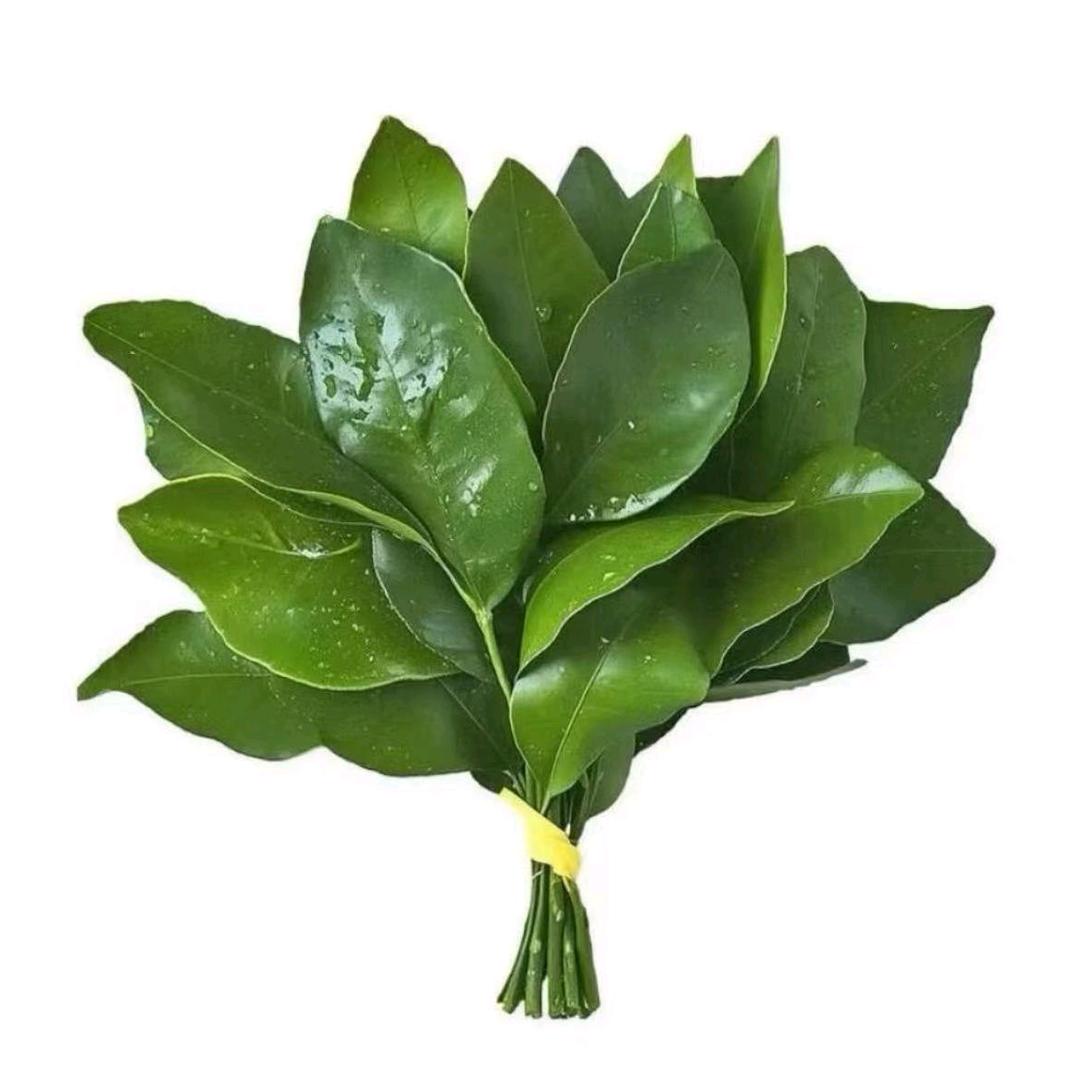 那海市蜃楼只是爱