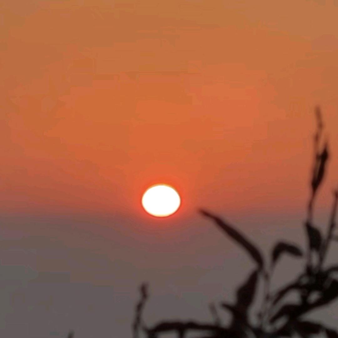 ঞ᭄心逸晨光ꦿഒᩚ࿐