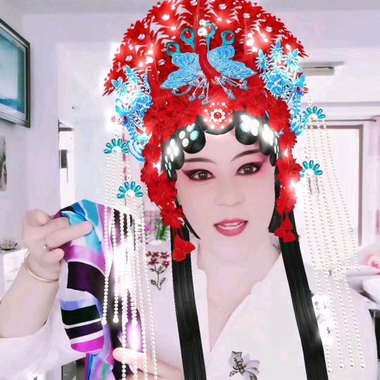 和平鸽