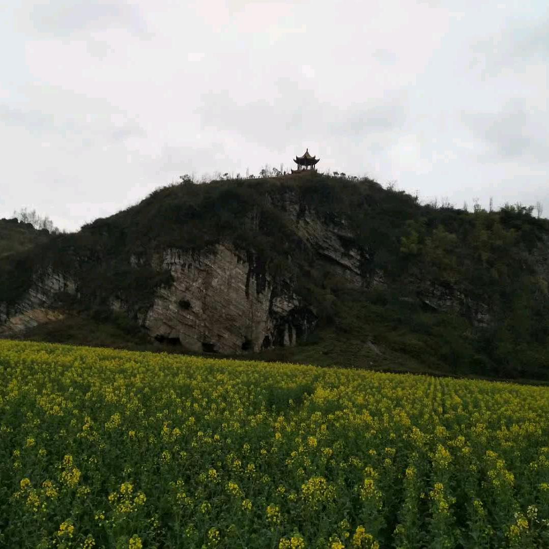 &笨笨☔