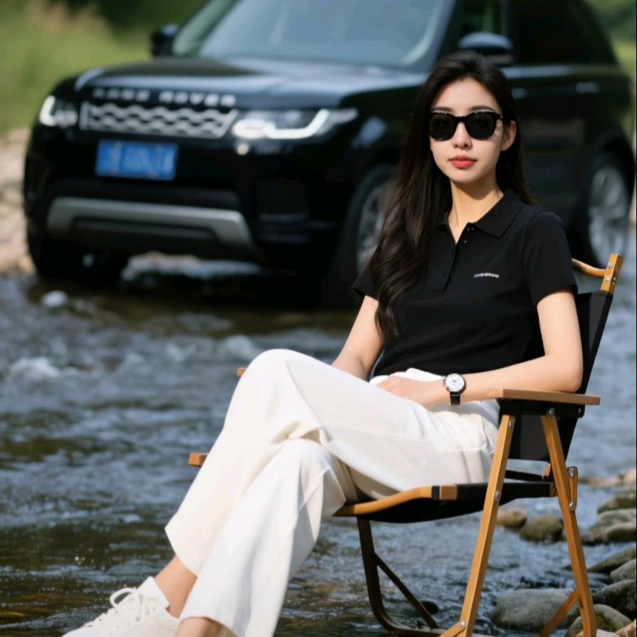 驾驭青征/二手车/小麦