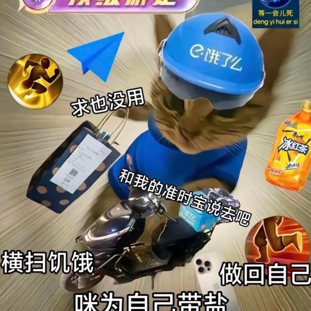 牢猫